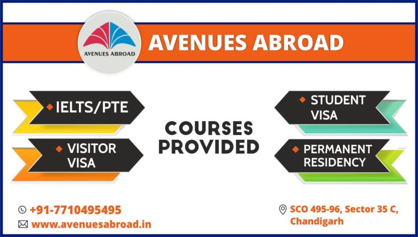 Avenues Abroad immigration consultant in chandigarh offerings