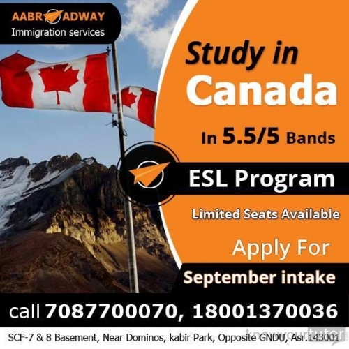 Aabroadway Immigration Services offering Immigration Consultants