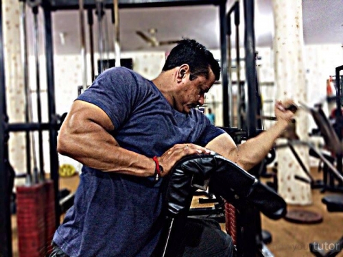 Muscle Work Gym offering Gym,Weight 